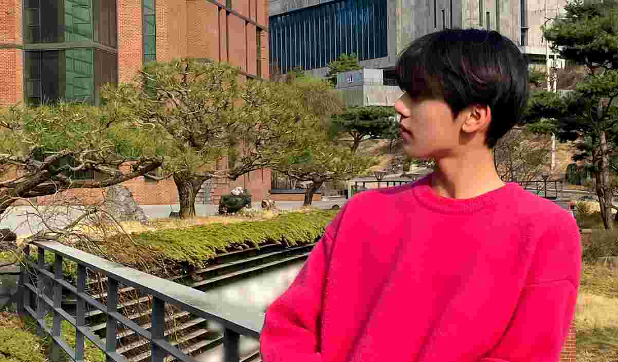 图怎么裂了! qaq